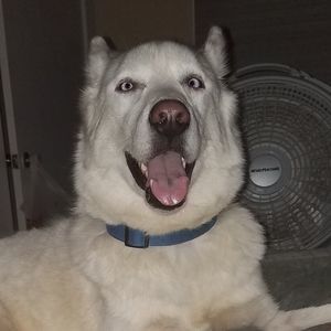 Meet your Posher, Eileen